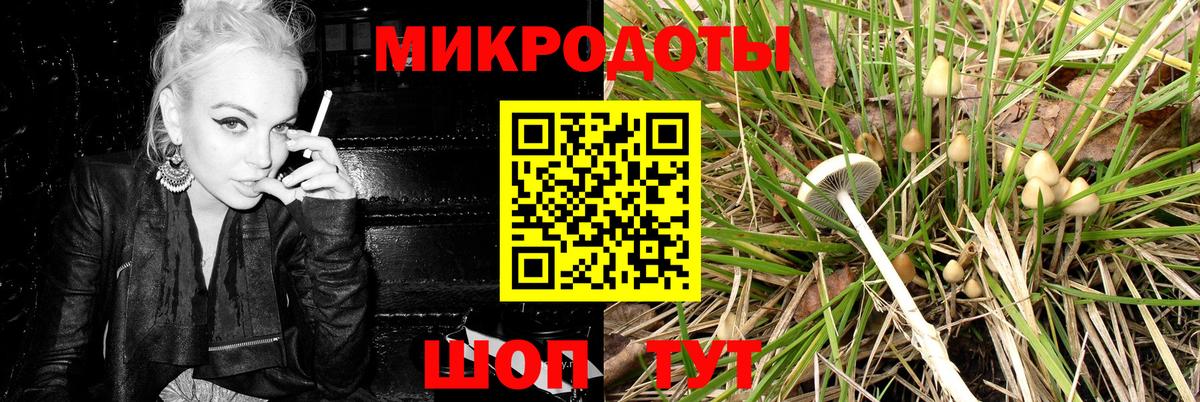 Галлюциногенные грибы прущие грибы  Вход с VPN  Донецк  Галлюциногенные грибы ЛСД 