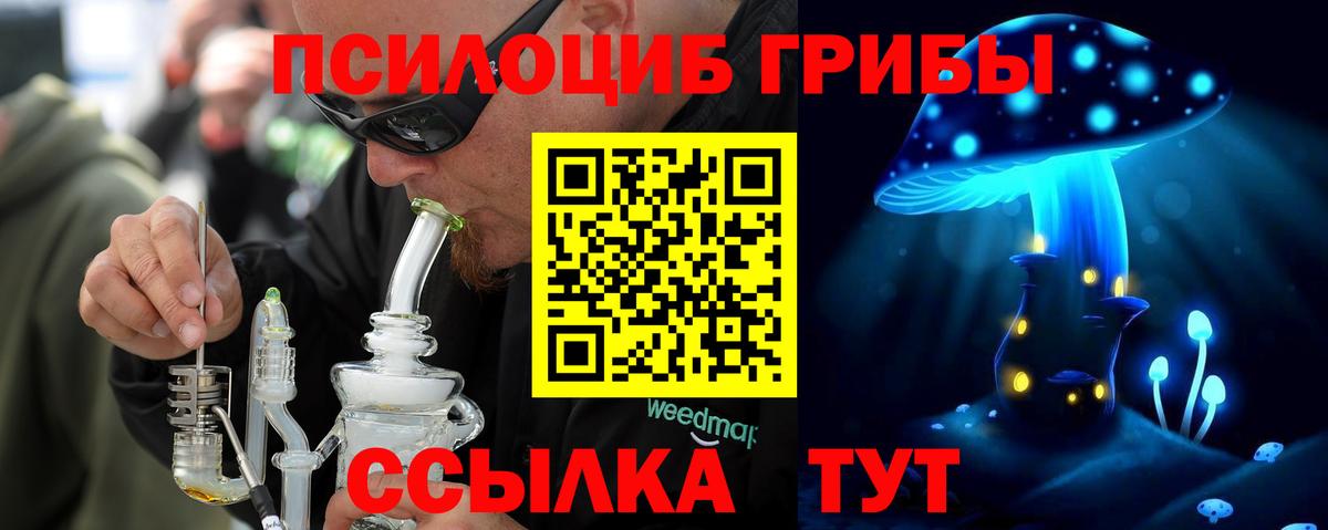 Псилоцибиновые грибы мицелий Донецк